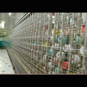  Warping (Weaving)