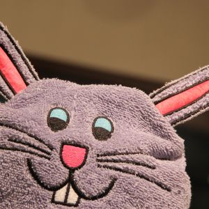 Hooded Towels