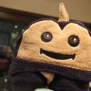 Hooded Towels